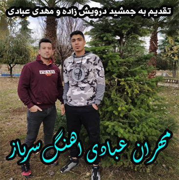 مهران عبادی سرباز